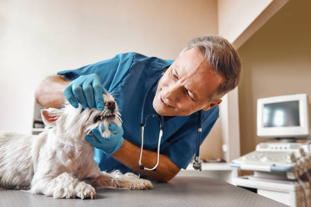 Best 24-Hour Emergency Dentist in Goodwell, OK